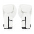 Боксерские перчатки BGV6 white 10 oz