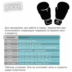 Боксерские перчатки BGV6 white 14 oz