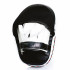 Лапы боксерские Fairtex FMV 11