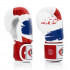 Боксерские перчатки Fairtex BGV1 Thai PriDe 10 oz