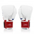 Боксерские перчатки Fairtex BGV1 Thai PriDe 10 oz