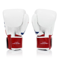 Боксерские перчатки Fairtex BGV1 Thai PriDe 16 oz
