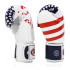 Боксерские перчатки Fairtex BGV1 USA 12 oz