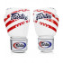 Боксерские перчатки Fairtex BGV1 USA 14 oz