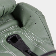 Боксерские перчатки Fairtex BGV11 F-DaY 12 oz