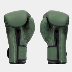 Боксерские перчатки Fairtex BGV11 F-DaY 12 oz