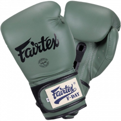Боксерские перчатки Fairtex BGV11 F-DaY 12 oz