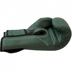 Боксерские перчатки Fairtex BGV11 F-DaY 12 oz
