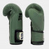 Боксерские перчатки Fairtex BGV11 F-DaY 16 oz