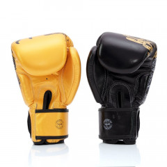 Боксерские премиальные перчатки Fairtex BGV26 Harmony Six 14 oz