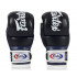 Перчатки Fairtex FGV18 black blue L
