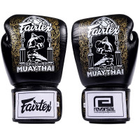 Боксерские перчатки Fairtex BGV premium Reversal 14 oz