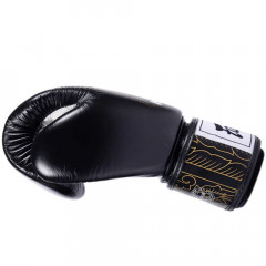 Боксерские перчатки Fairtex BGV premium Reversal 14 oz