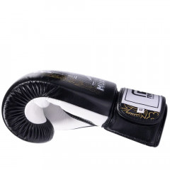 Боксерские перчатки Fairtex BGV premium Reversal 14 oz