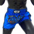 Шорты для бокса Fairtex BS1702 (синий) 2XL