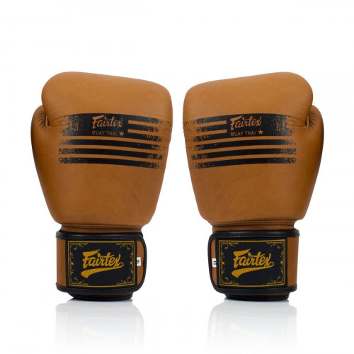 Боксерские перчатки Fairtex BGV21 LEGACY 10 oz