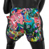 Шорты для бокса Fairtex BS URFACE X - S